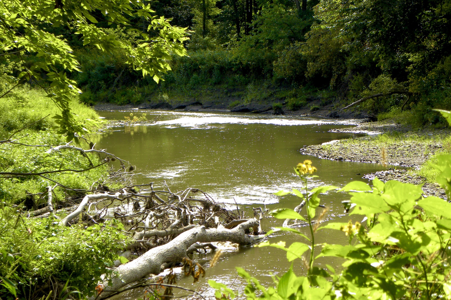 Middle River