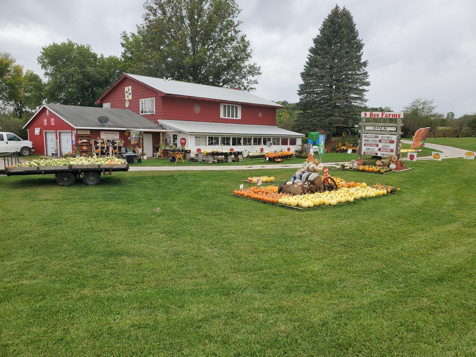 3 bee farms