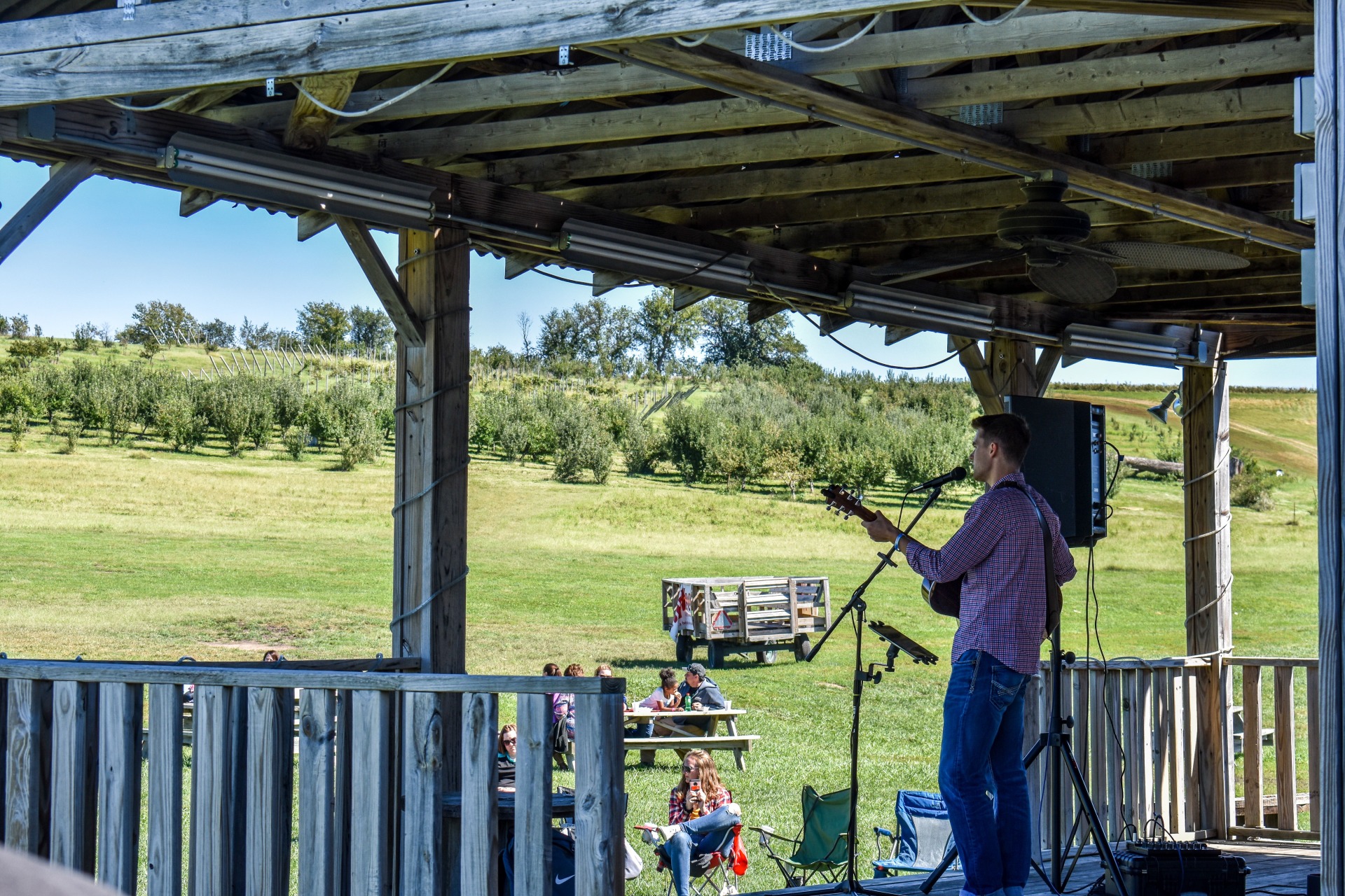 Concerts at the orchard