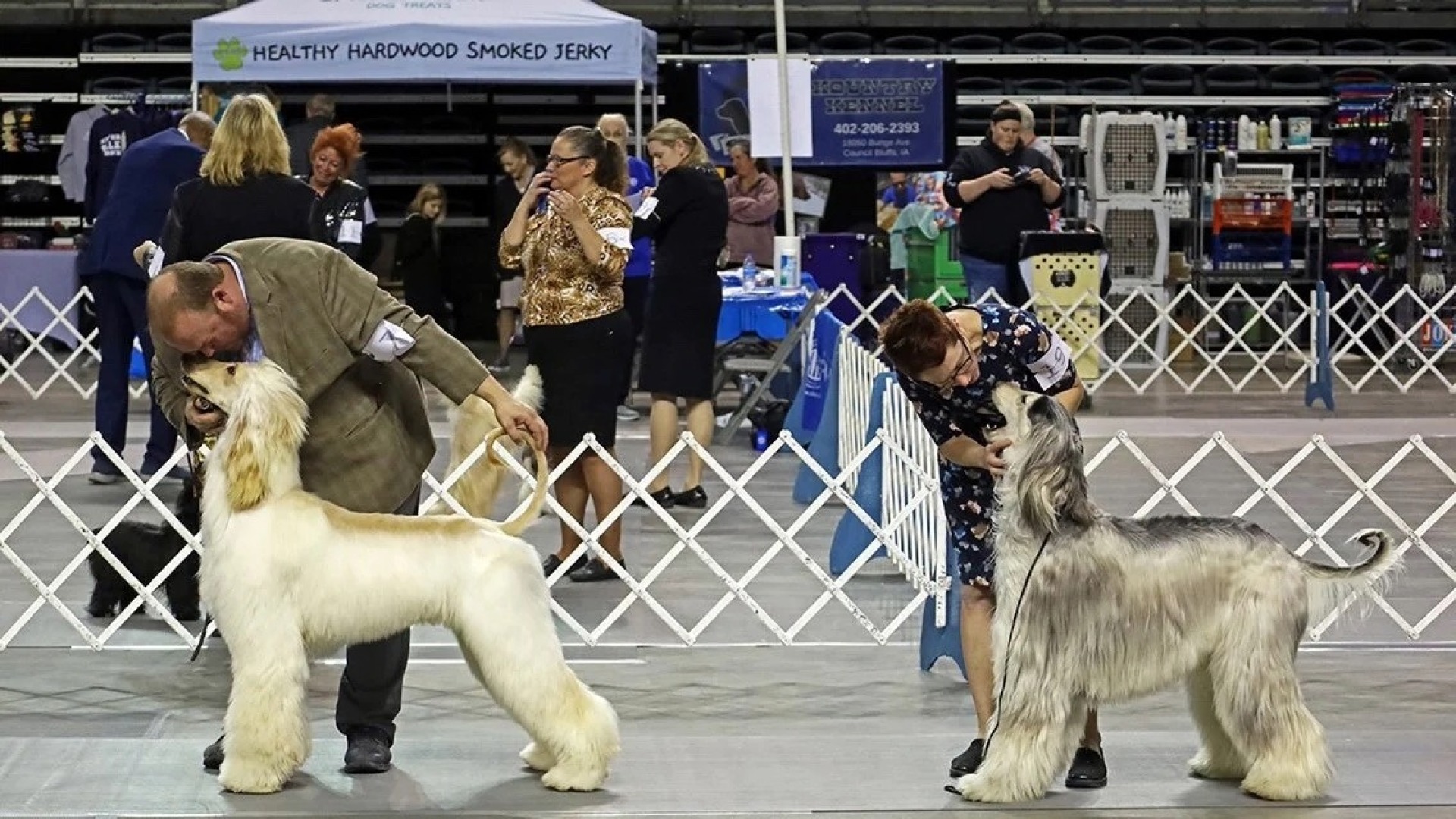 kennel show