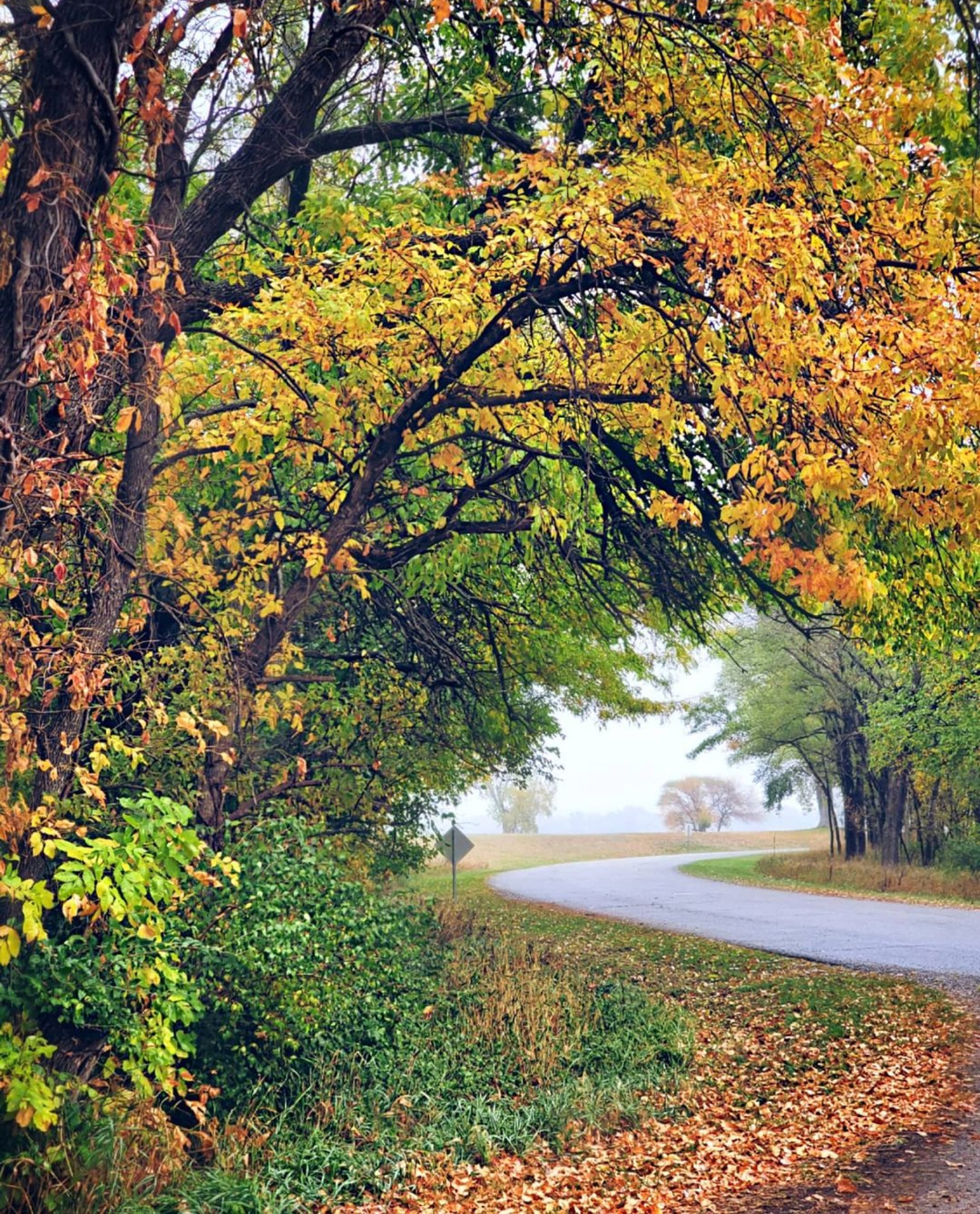 Beautiful Fall Foliage at Lake Manawa State Park