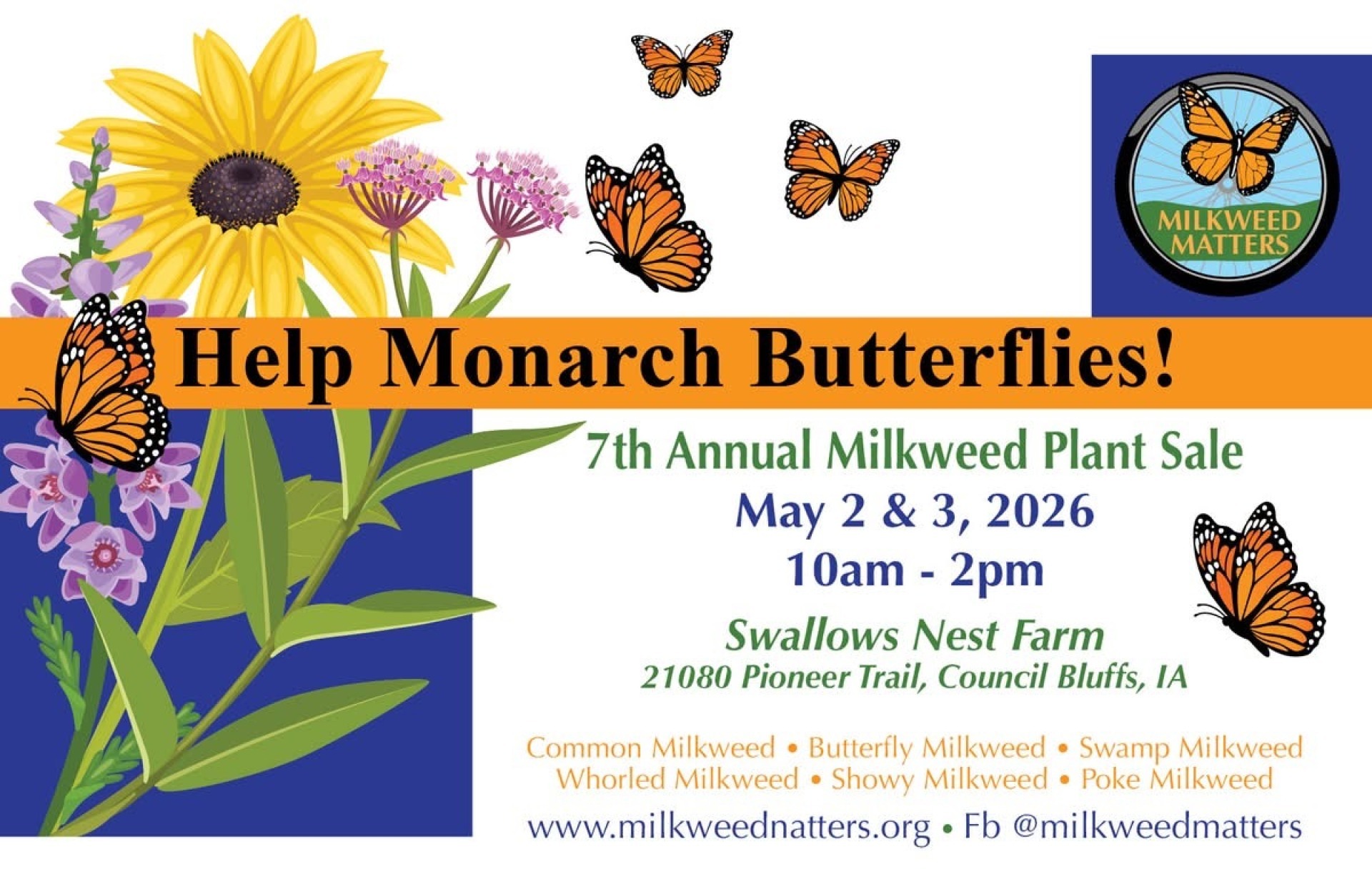 milkweed sale
