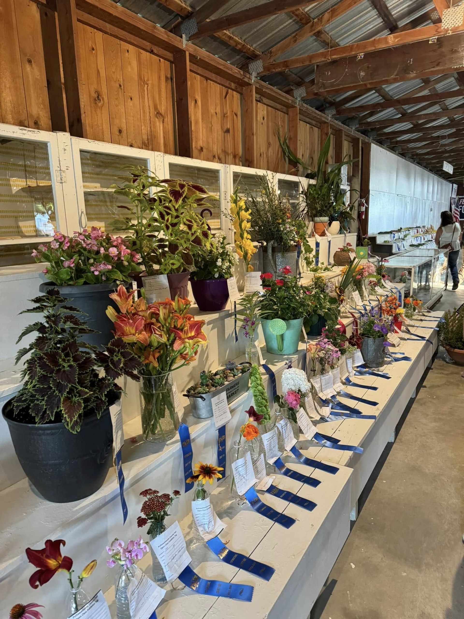 pottawattamie fair