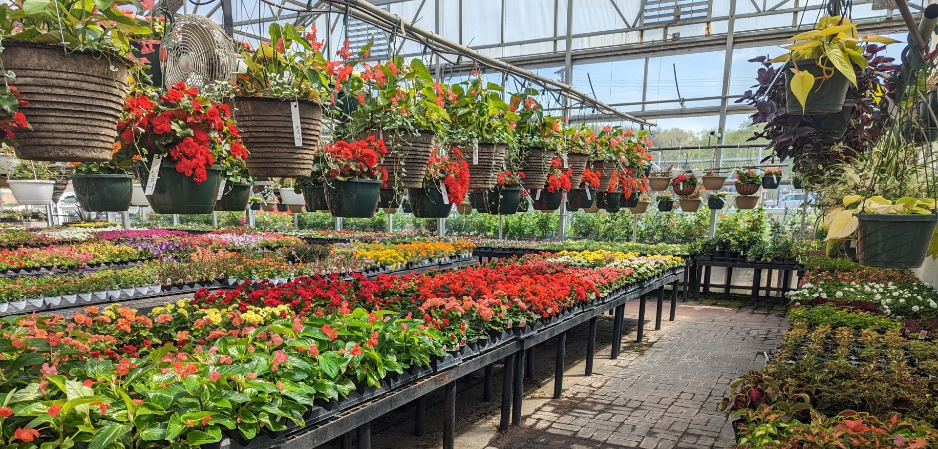 Plants are displayed at Sherbondy's Garden Center