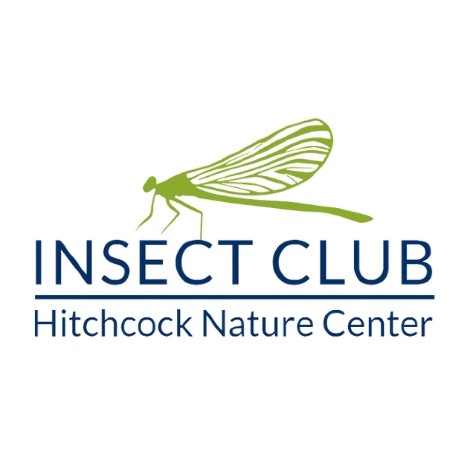 Insect Club Logo
