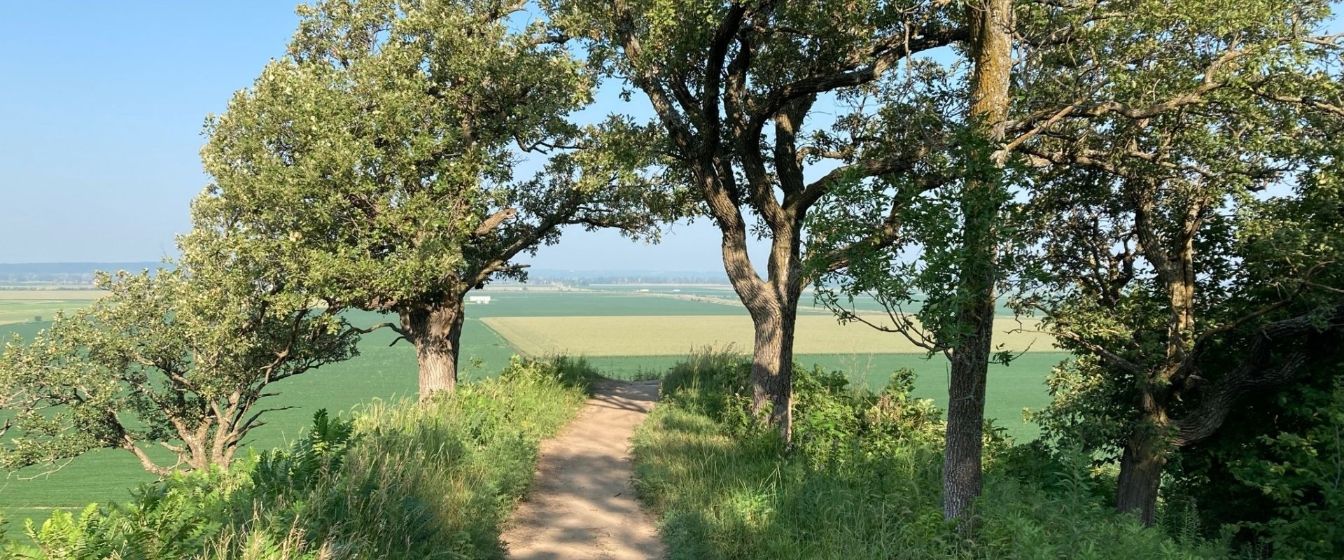 Fox Run Ridge, view