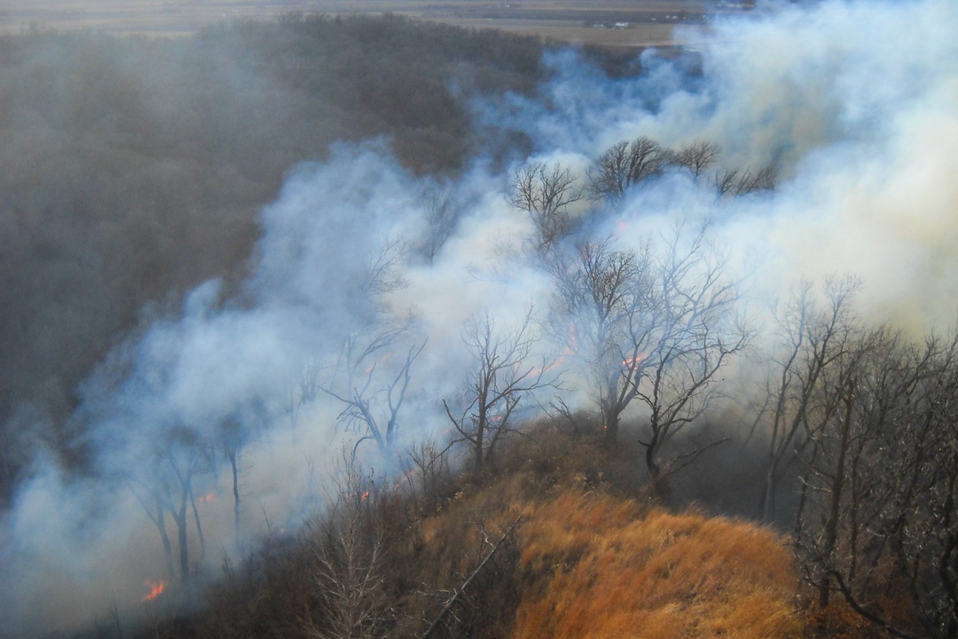 Prescribed fire in a Pottawattamie County park.